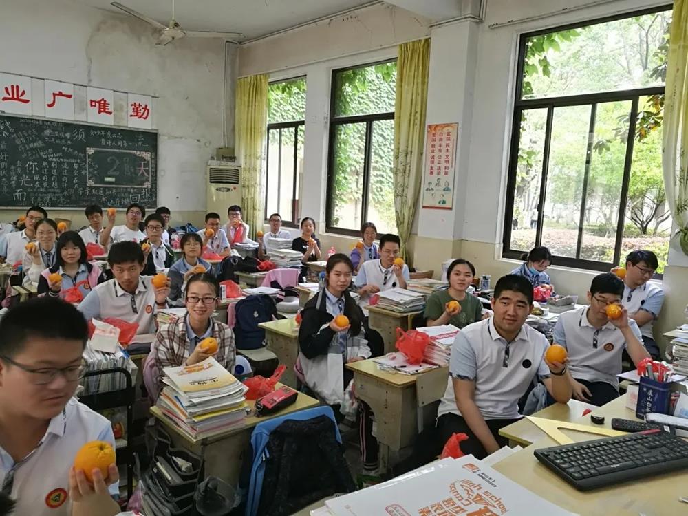 fe355e19ee7349628a0eac175361c703.jpg