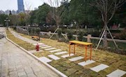 省熟中工会举办首届教职工校园健步打卡比赛