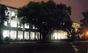 时光印记 | 《还是那棵香樟树》