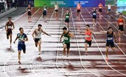 祝贺我校2017届校友——国家田径队运动员石雨豪全运会摘银