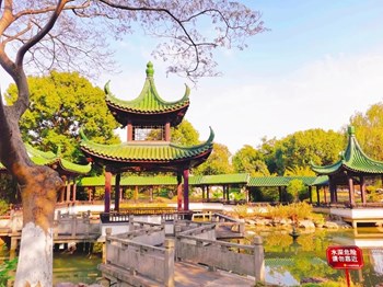 漫步校园与温暖的秋光一同徜徉——晚秋初冬