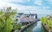 “读书不觉春已至，一寸光阴一寸金” ——记“我们”的一天