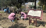 植树节 | 种下希望，＂植＂得期待